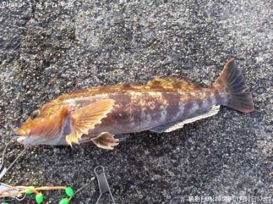 �����ʥ�