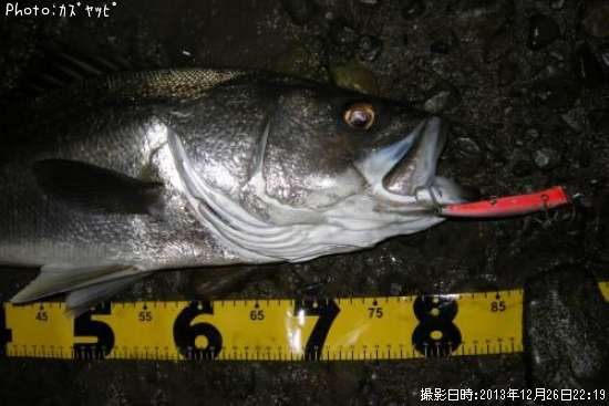 �����Х�