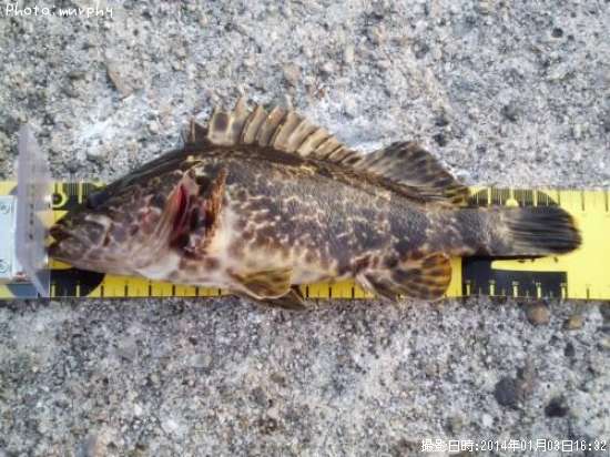 �����Υ���Х�