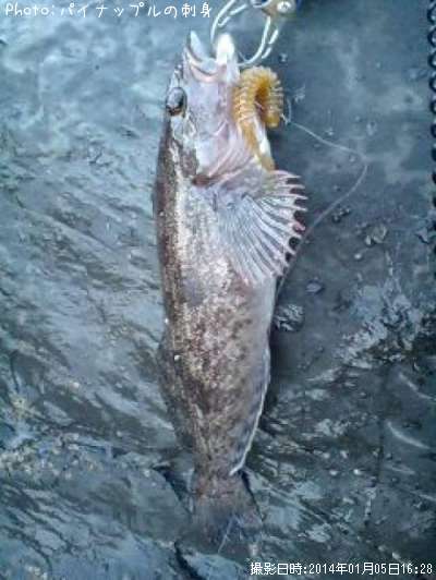 �����ʥ�