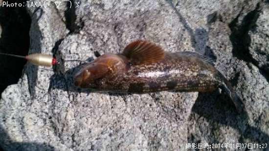 �����ʥ�