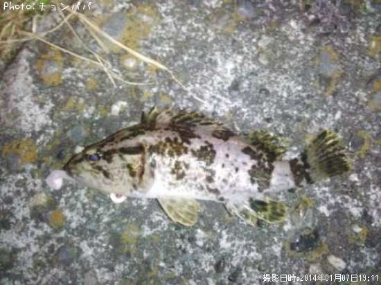 �����Υ���Х�