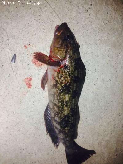 �����ʥ�