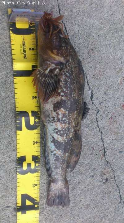 �����ʥ�