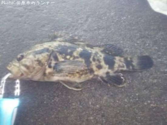 �����Υ���Х�