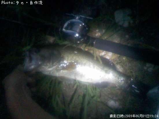 �֥�å��Х�