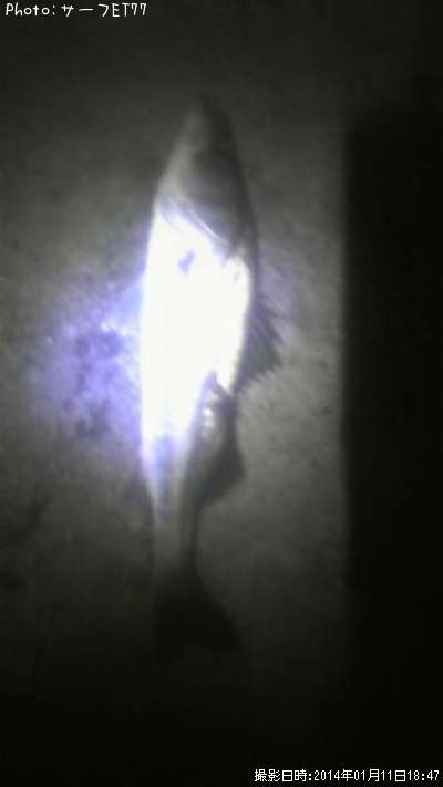 �����Х�