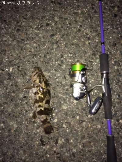 �����Υ���Х�