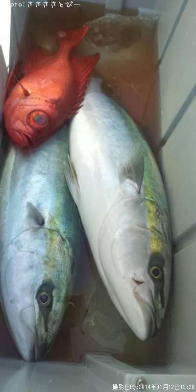 ��饵������ȥ�