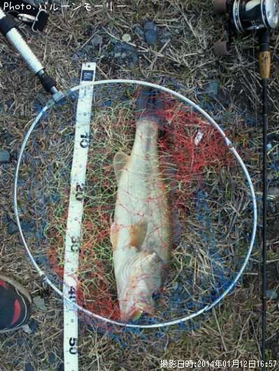 �֥�å��Х�