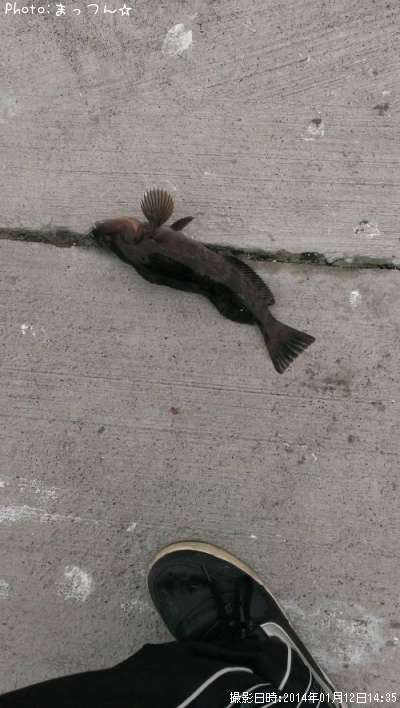 �����ʥ�