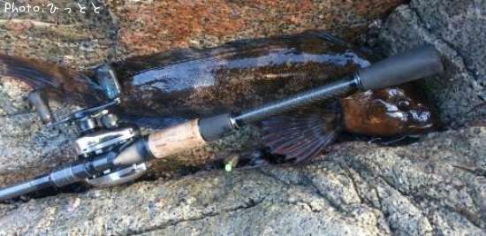 �����ʥ�