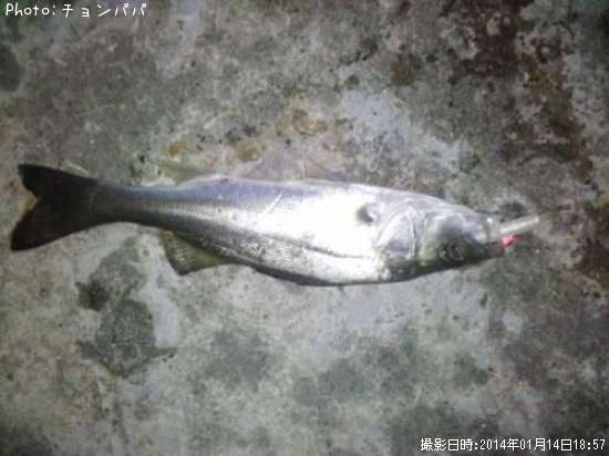 �����Х����ߥ�