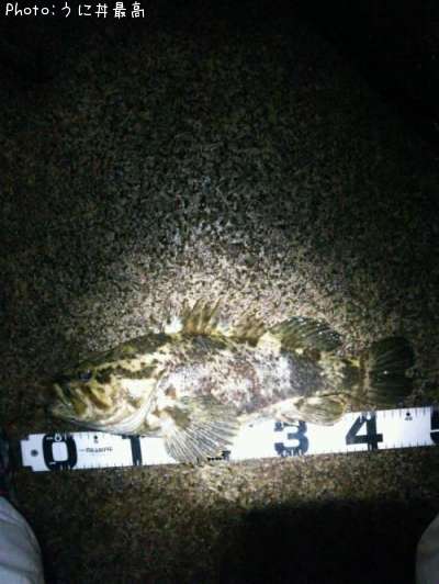 �٥å�������