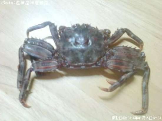 ���ˤ����