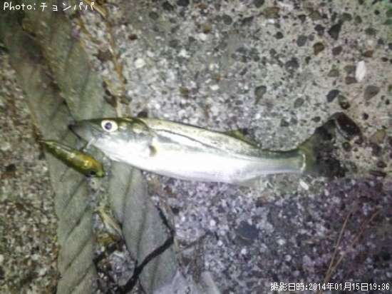 �����Х����ߥ�