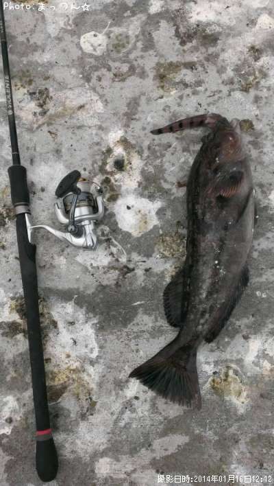 �����ʥ�