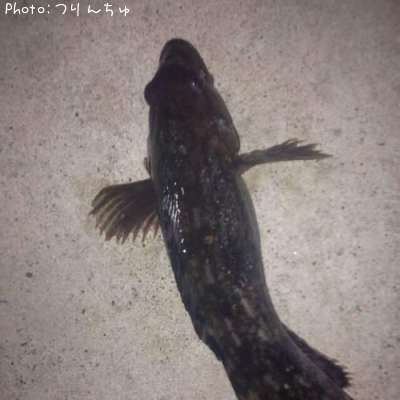 �����ʥ�