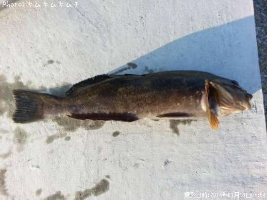 �����ʥ�