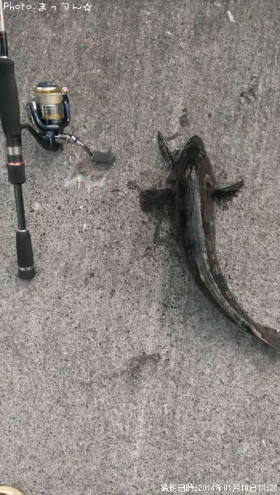 �����ʥ�