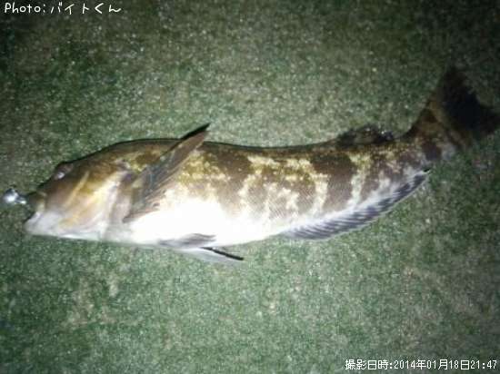 �����ʥ�