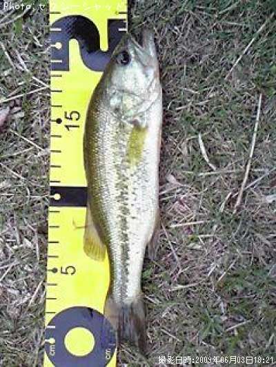 �֥�å��Х�