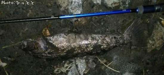 �����ʥ�