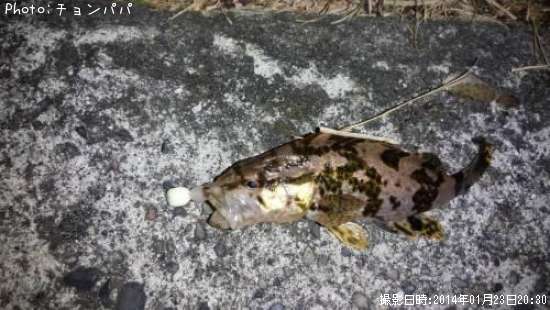 �����Υ���Х�