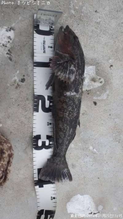 �����ʥ�