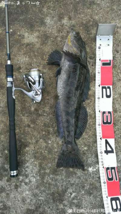 �����ʥ�