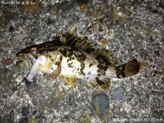 �����Υ���Х�