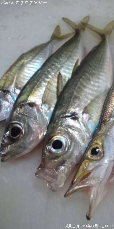 ���������ޥ�