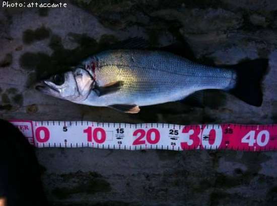 �ҥ饹����