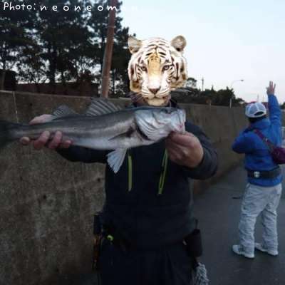 �����Х�