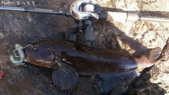 �����ʥ�