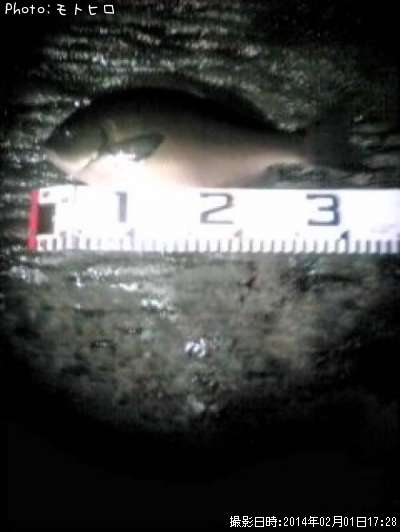 ��Ĺ�᥸��