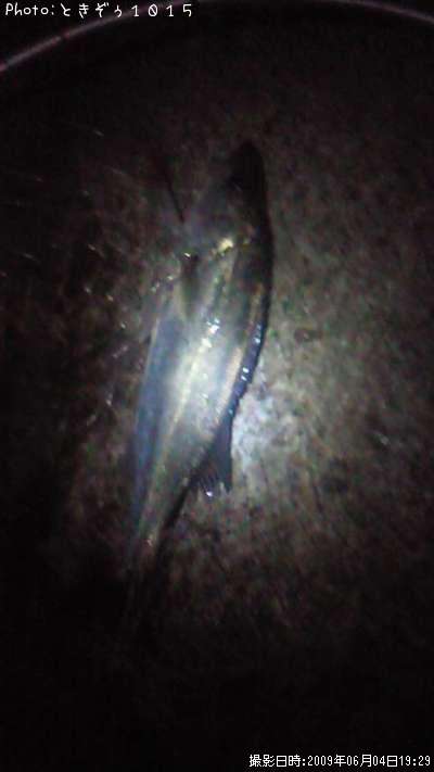 �����Х�