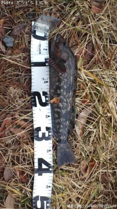 �����ʥ�