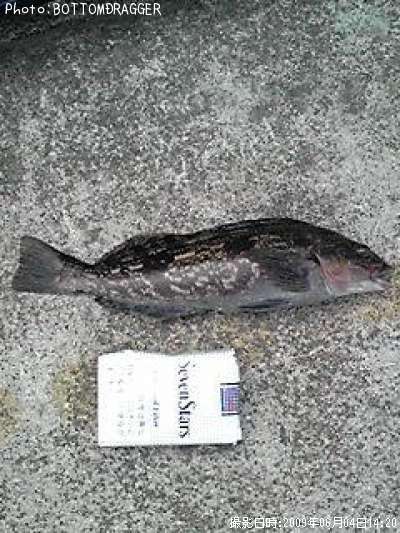 �����ʥ�