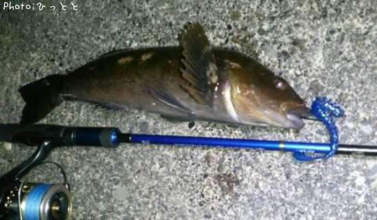 �����ʥ�