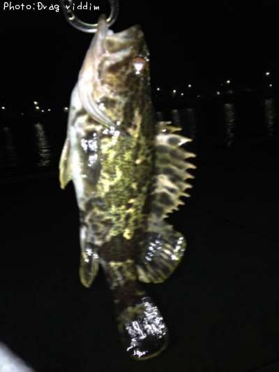 �����Υ���Х�