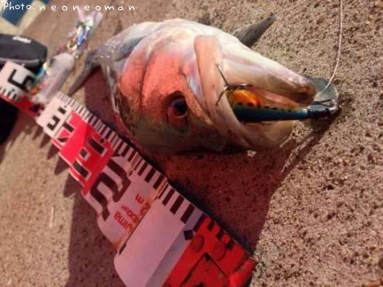 �����Х�