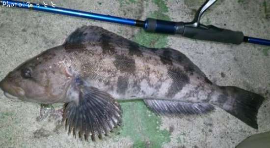 �����ʥ�