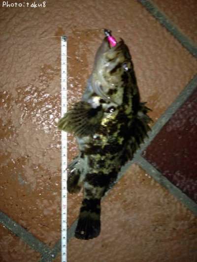 �����Υ���Х�