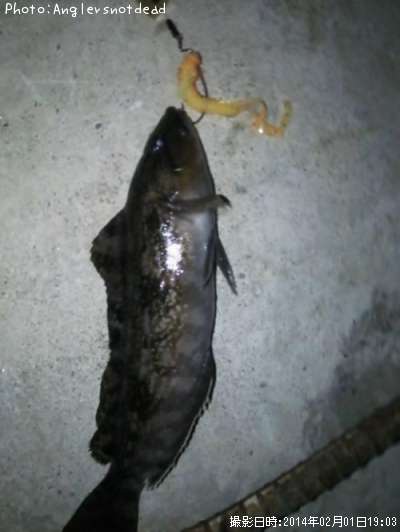 �����ʥ�