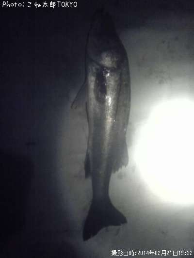 �����Х�