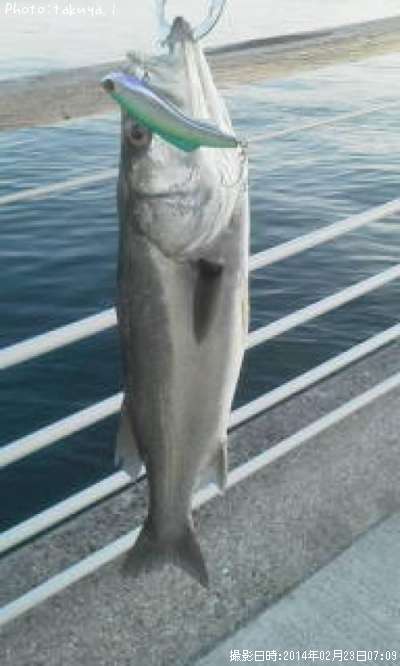 �����Х�