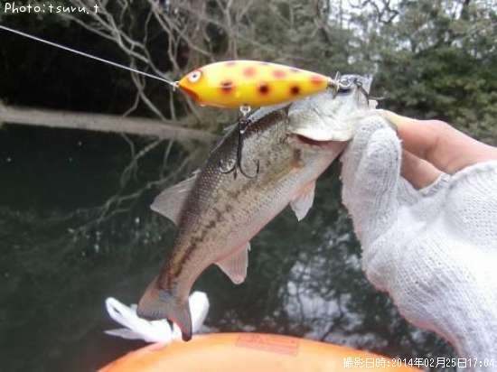 �֥�å��Х�