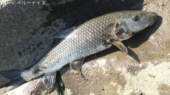 �����ˡ�