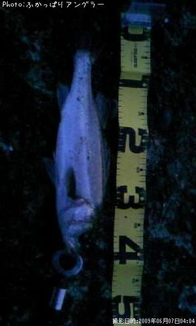 �����Х�